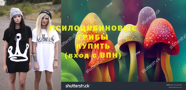 гидра Нягань