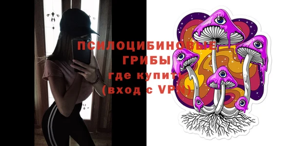 spice Вязьма