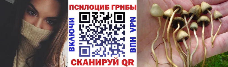Галлюциногенные грибы мухоморы  Правдинск 